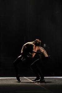 shut up and dance_016.jpg